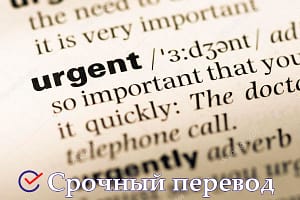 Urgent translation of texts and documents